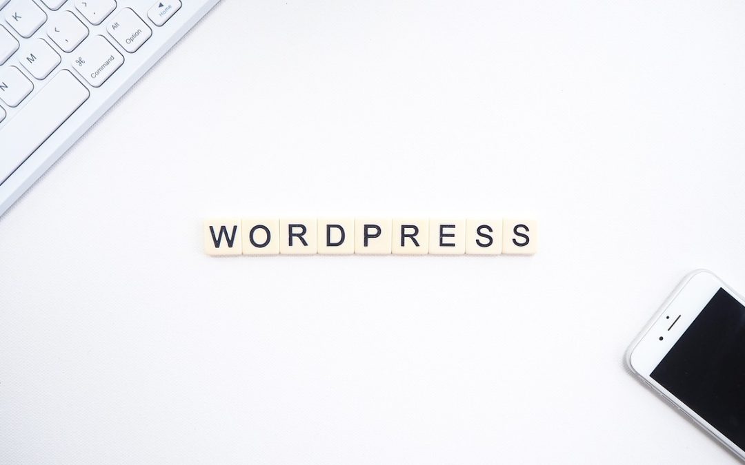 5 choses à savoir sur l’utilisation des cookies sur WordPress
